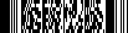 PDF-Datei 417 VIN Barcode