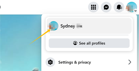 Profilbild auf Facebook klicken